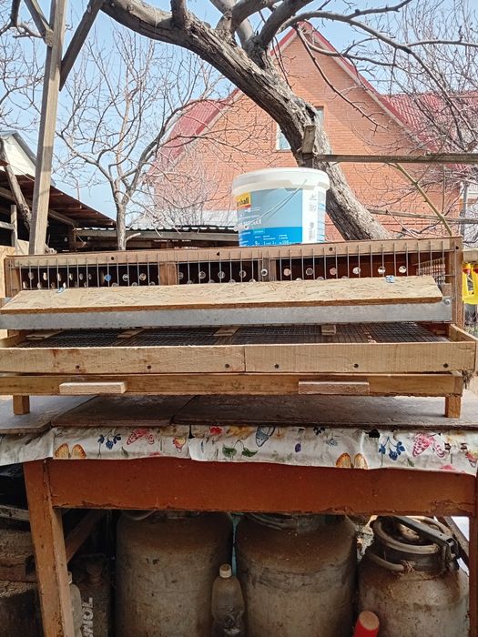 Клетка для перепелов