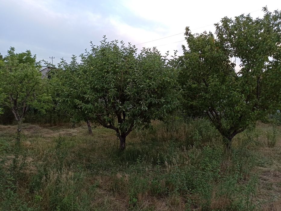 Продается участок с коробкой