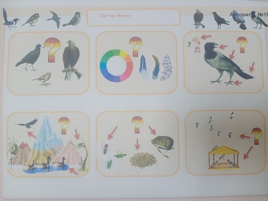 Продам демострационный материалы