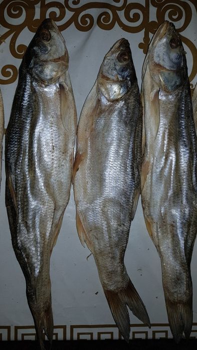 Вяланая рыба Жерех