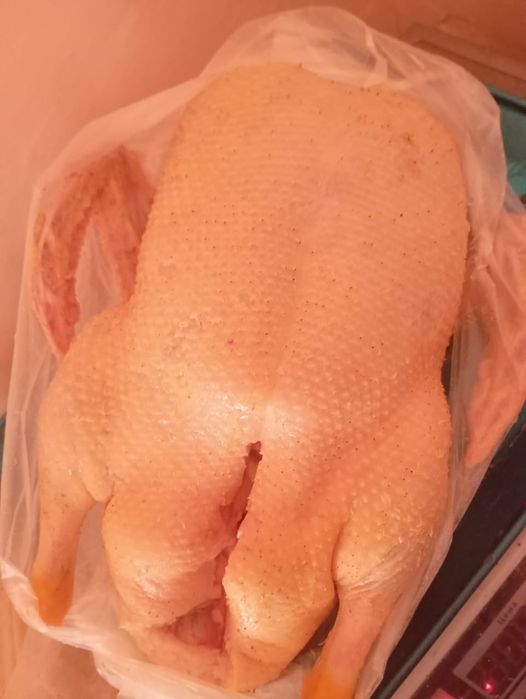 Продам  утиное мясо старт 53