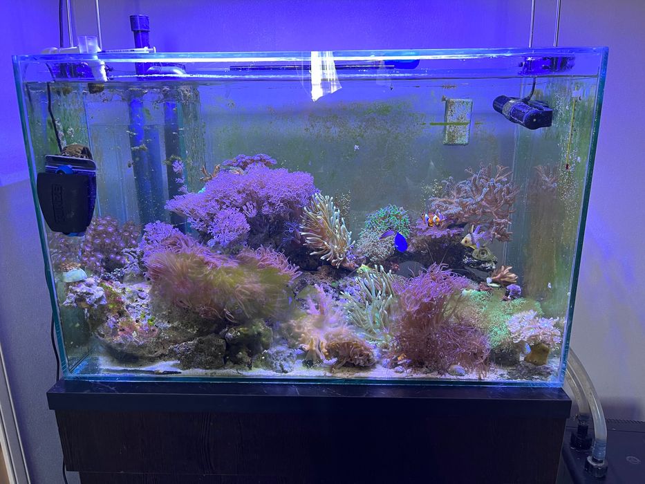 Морской аквариум