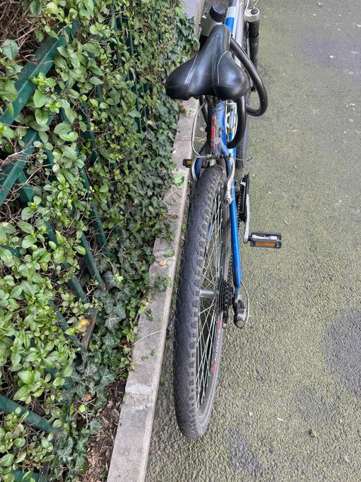 Hope Amanet P12 - Bicicleta Giant