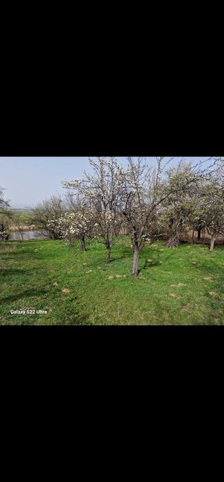 Продава се Парцел в Кюстендил, Колуша - 600 кв.м за 21 €/кв.м - Снимка #14