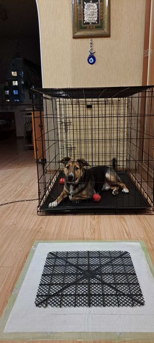 Вольер, когтеточка, поводок, лоток, намордник кошкин дом, домик-туалет