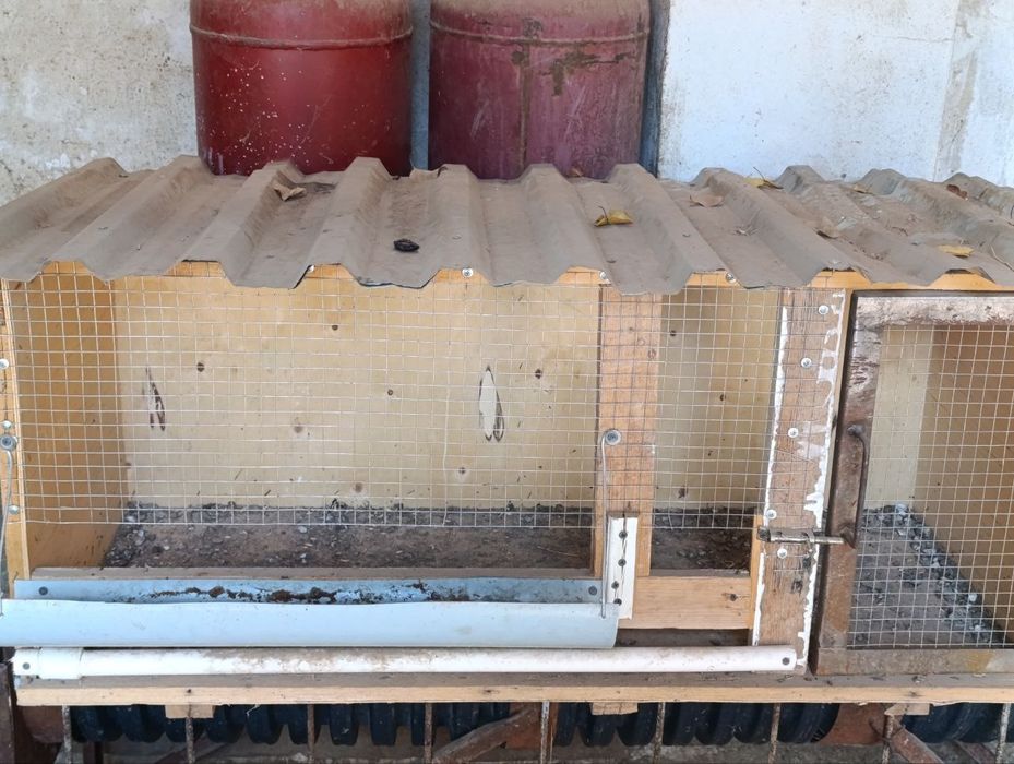 Porno ogli sexy onamni sikadi