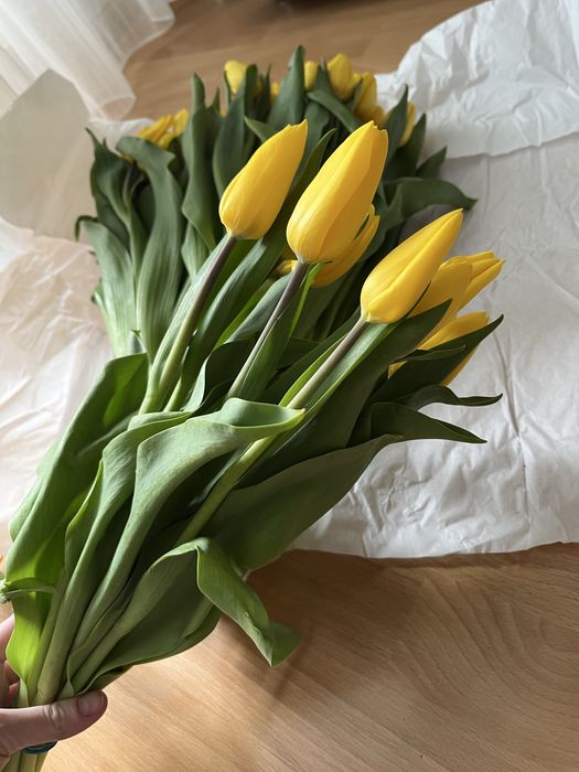 Тюльпаны к 8 марта