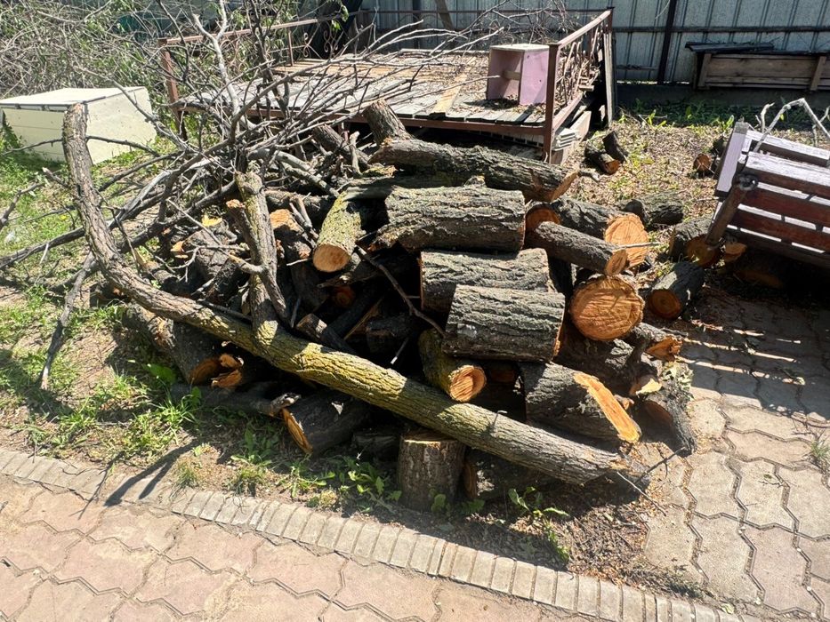 Дрова бесплатно Бурундай срочно