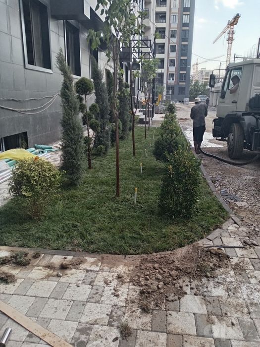 gazon.    tayorlari. bor. gularimiz bor. kimga. kerak bulsa. aloqaga c