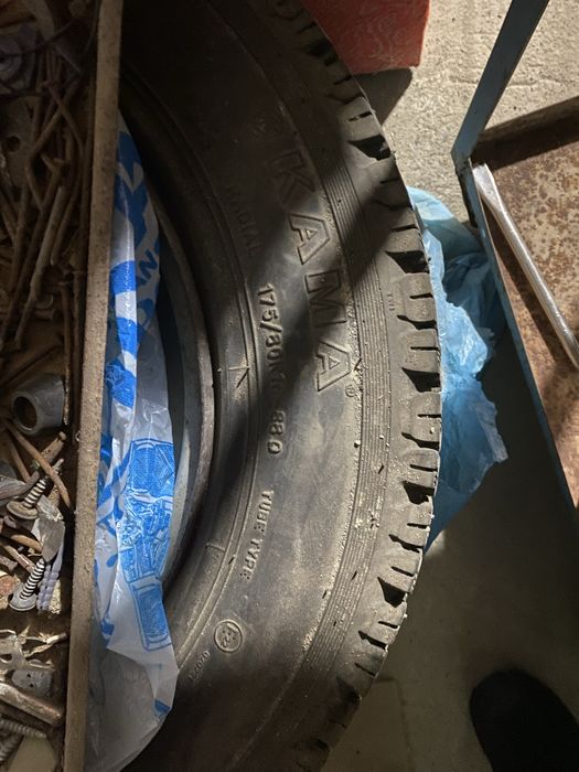 Нивага донгелек бар