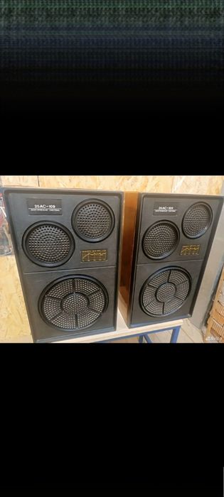 Акустическая система 25ас-109