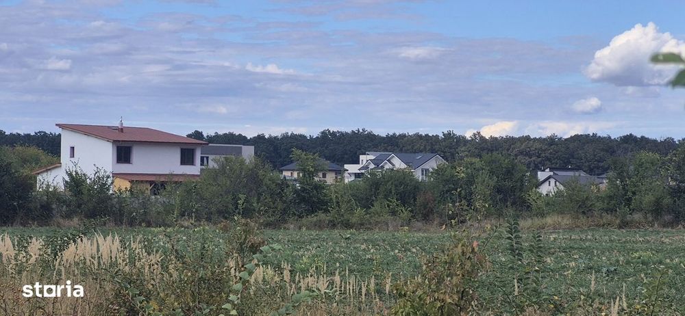 Teren cu gaz si electric la hotar,langa padure 720 mp,50E/mp