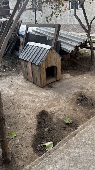 Будка домик для собак