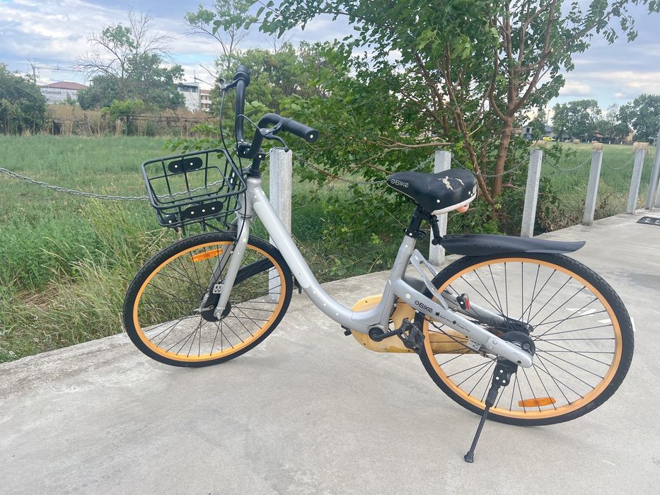 Bicicleta dama oras