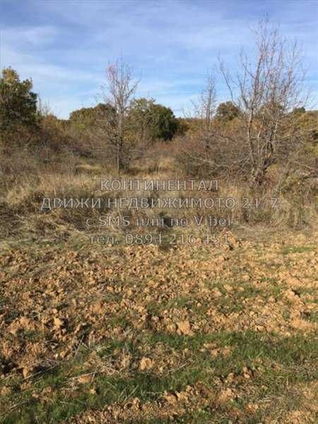 Продава се Парцел в с. Драгомир, Област Пловдив - 19600 кв.м за 1 €/кв.м - Снимка #5