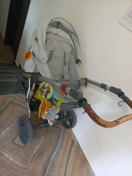 Бебешка количка, Лорели Римини