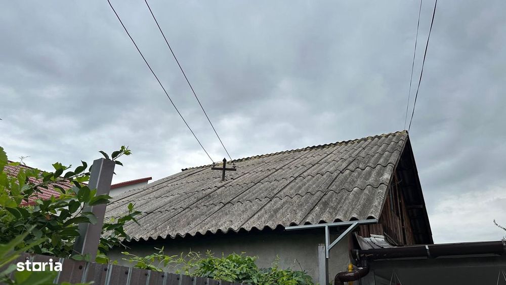 Colentina, Andronache, Pepiniera