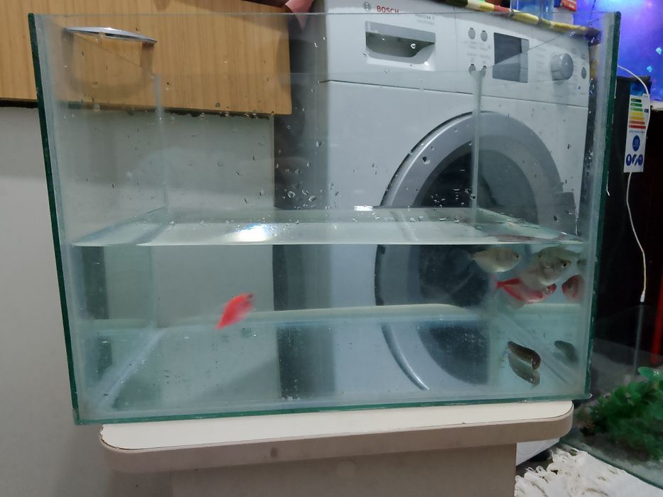 Аквариум хороший состояние