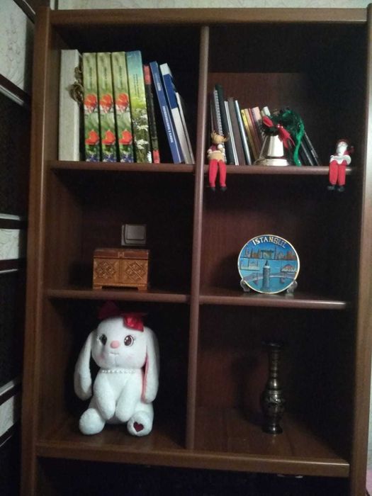 Шкаф книжный российский