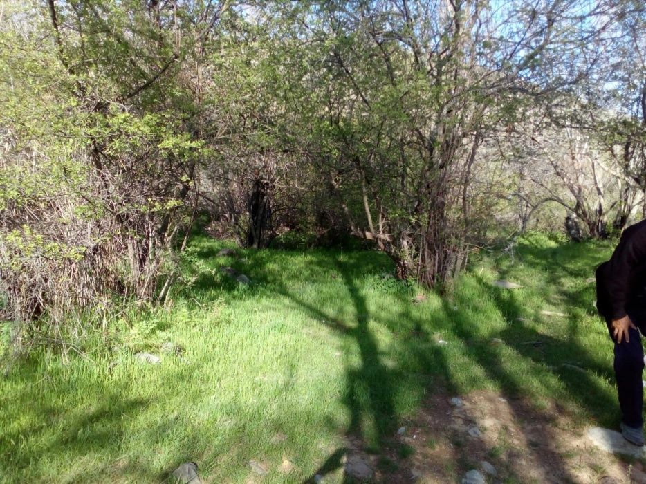 Земельный участок под бизнес