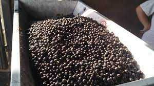 Descopera gustul natural și beneficiile sucului de Aronia la punga 3L