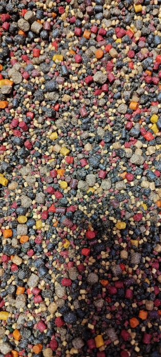 Bag-uri pescuit Crap