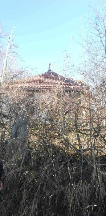 Продава се Земеделски имот в Попово -  кв.м за 2550 €/дка - Снимка #3