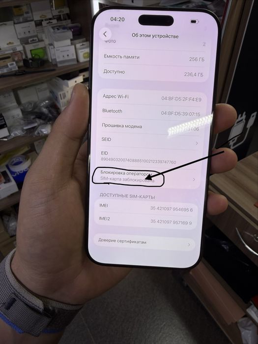 iPhone 16 Pro Max / 256Gb / 100%