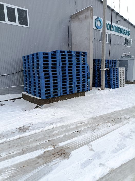 Поддон Паддон sotiladi