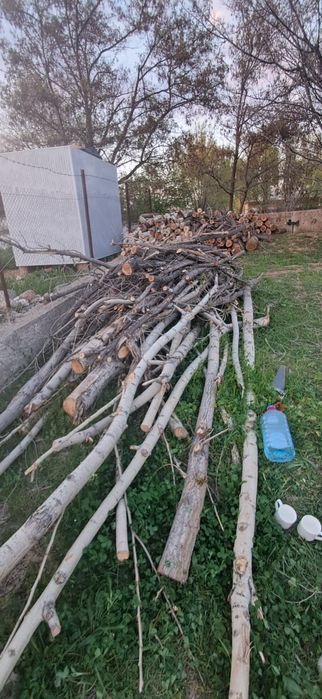 Дрова  самовывоз