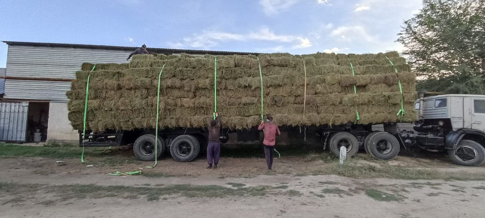 Сено тюк люцерно