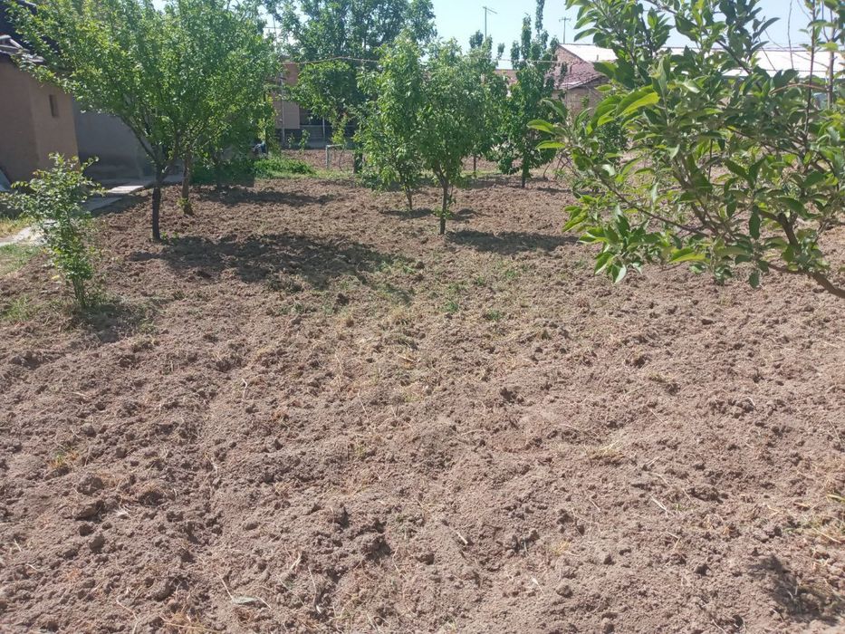 Yer sotiladi 2,5 sotix