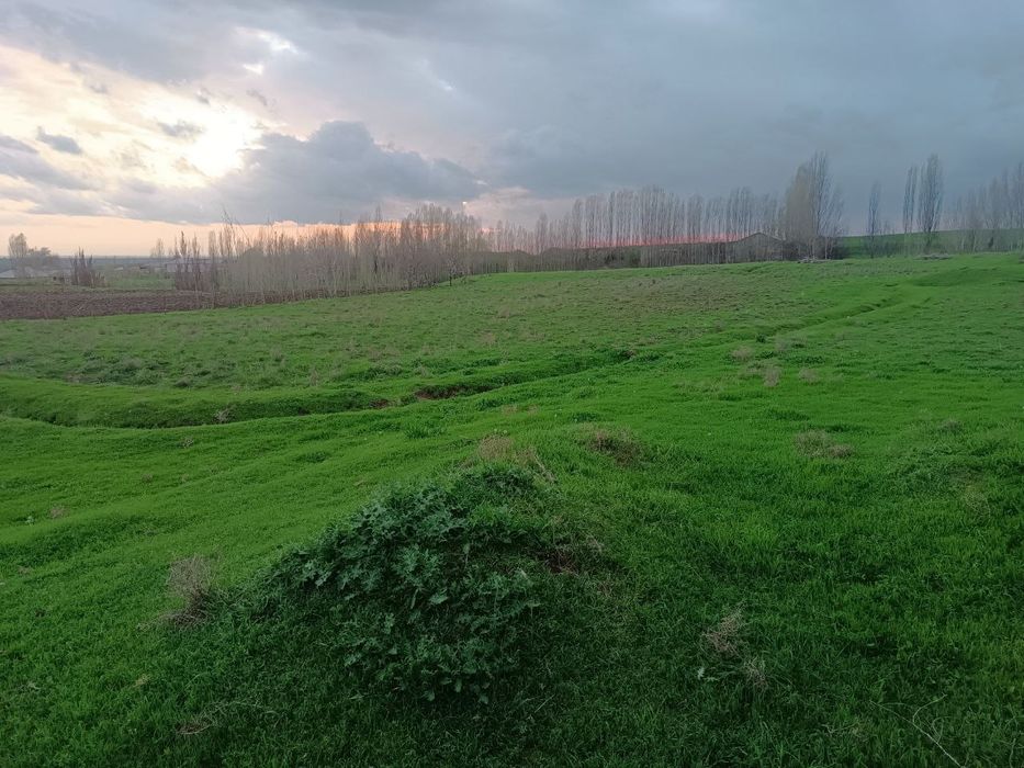 Срочна Продается 44 соток Земельный Усасток