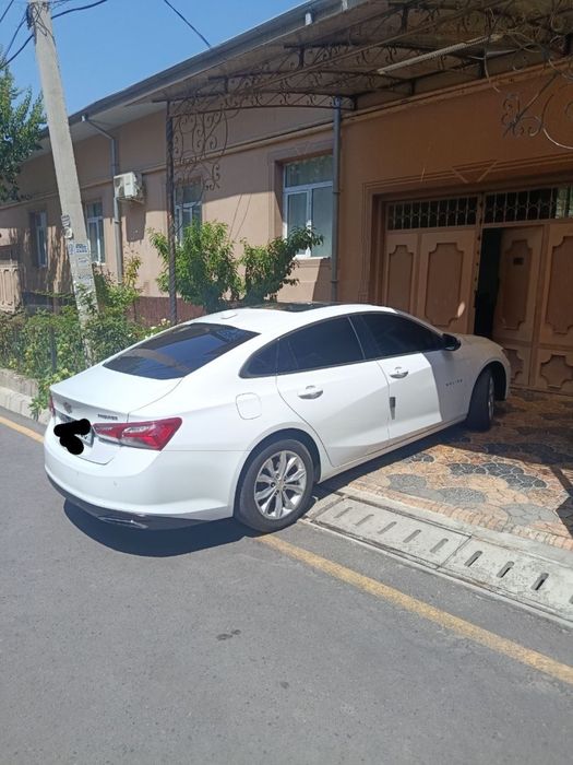 malibu 2020 yil oq rang