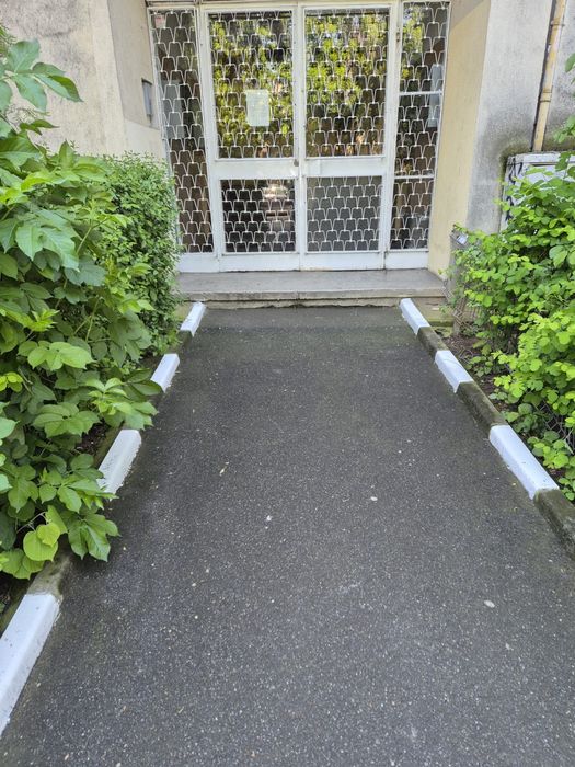 Garsoniera / Teiul Doamnei