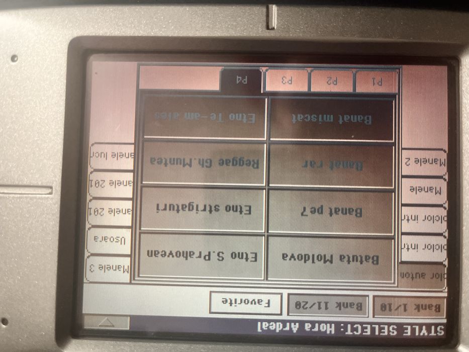 Set pentru Korg pa800.