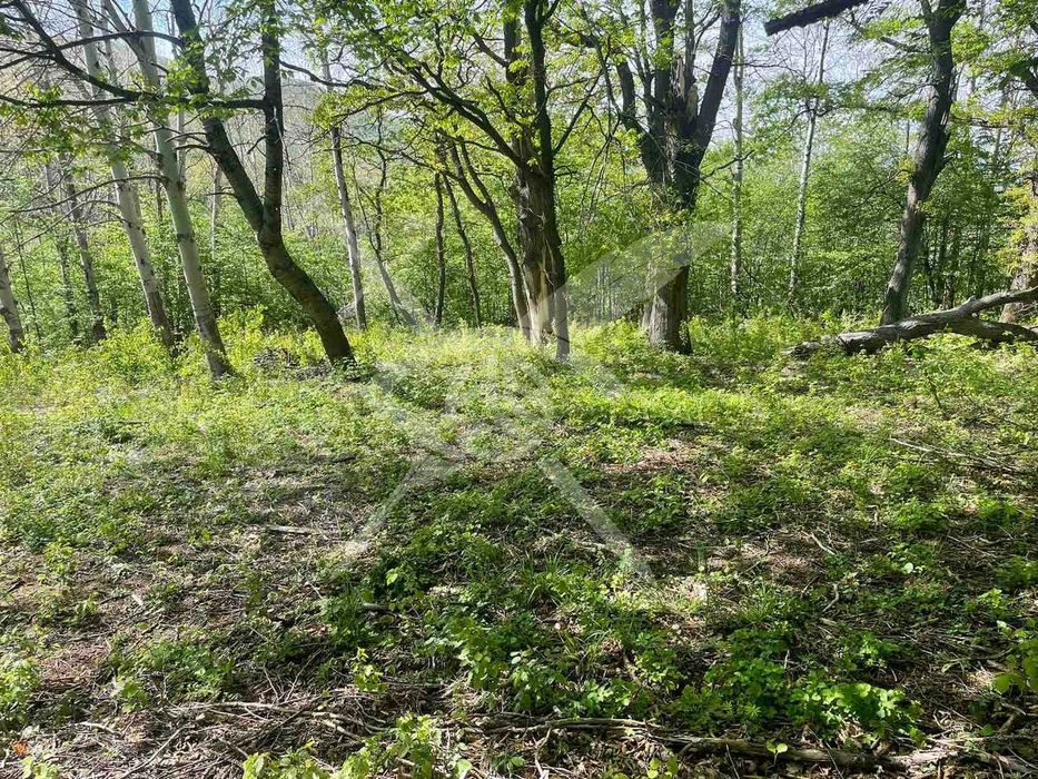 Продава се Парцел в София, Княжево - 600 кв.м за 150 €/кв.м - Снимка #2