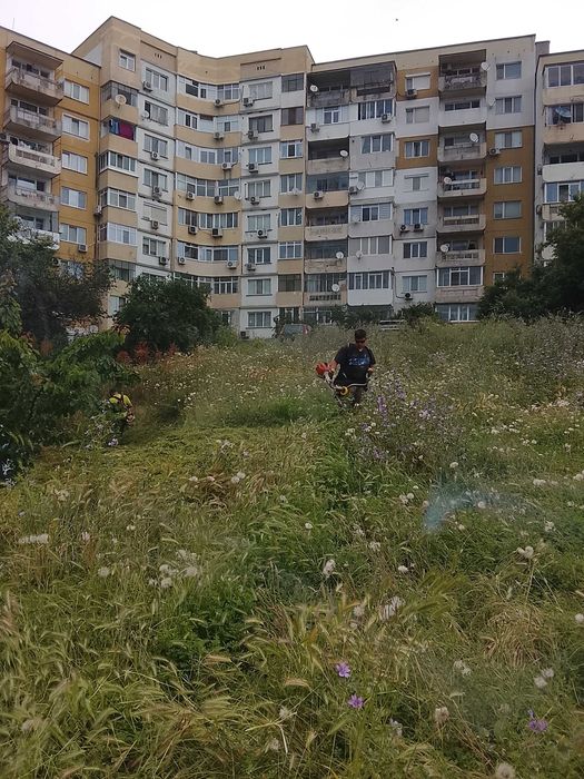 Косене на тревни площи, рязане на дървета и почистване на дворове – Варна