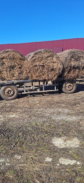 Vând baloți de fân