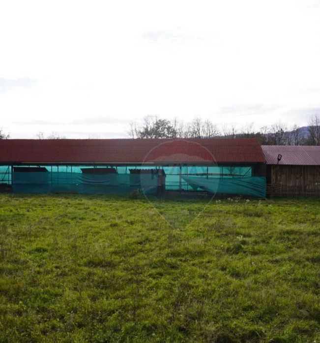 Vând Teren + Fermã+ Baltã de pește în Comuna Sãpânța județul Maramureș