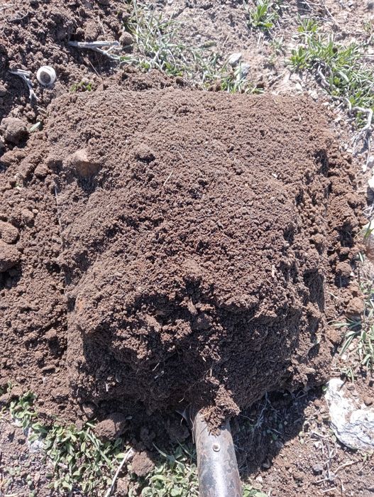 Доставка навоз, чернозем, биогумус, цены разные.