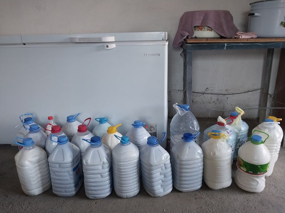 Қымыран , түйе сүті