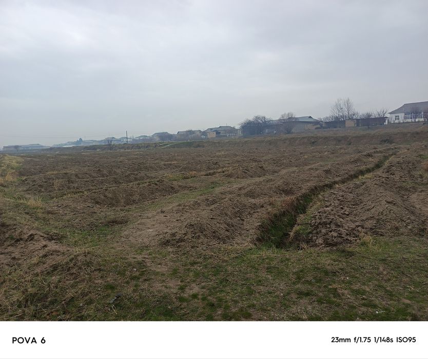 Uy-joy ko’tarilgan uzumzor sotiladi 40 sotix