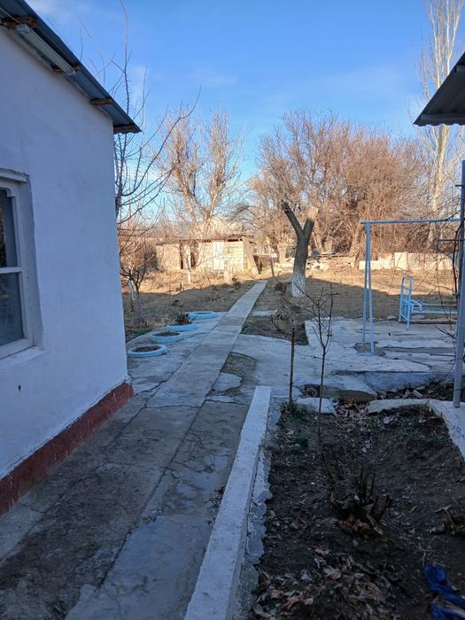 Дом милый Дом дом