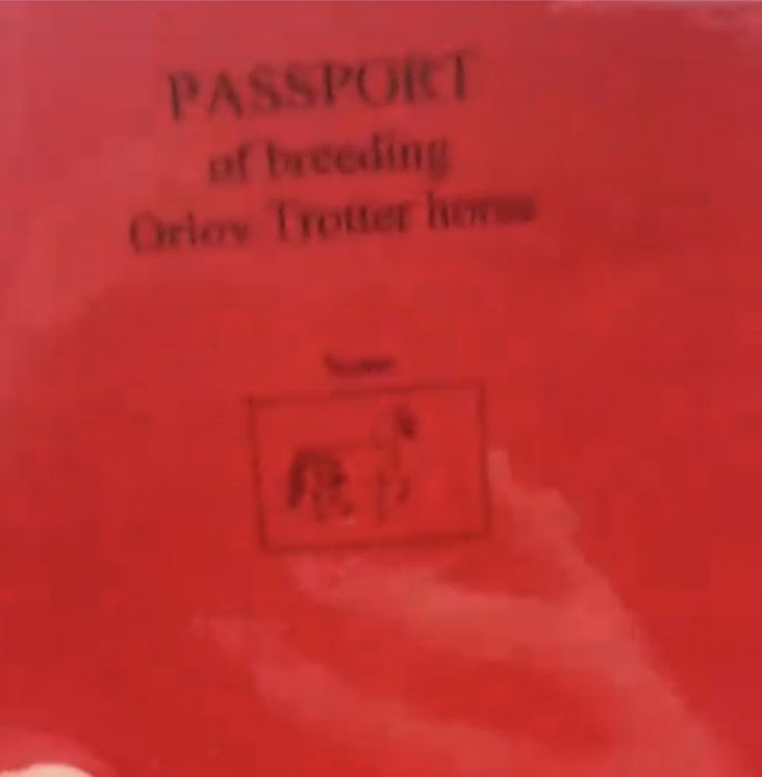 Продам Орловского рысака кобыла 3 лет