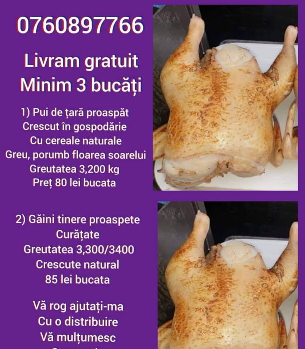 Pui de carne crescuți în gospodărie