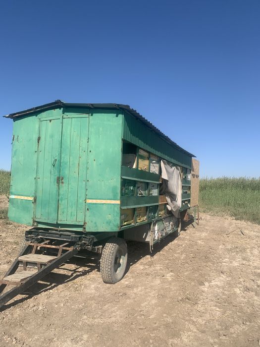 Пчело прицеп павильон прцеп