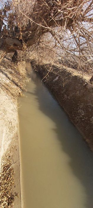 Гиждувон тум.Соктари мфйда Янгиободда  жойлашган  20 сотих ер сотилади