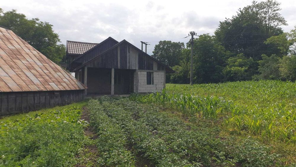 Teren + casa de vanzare