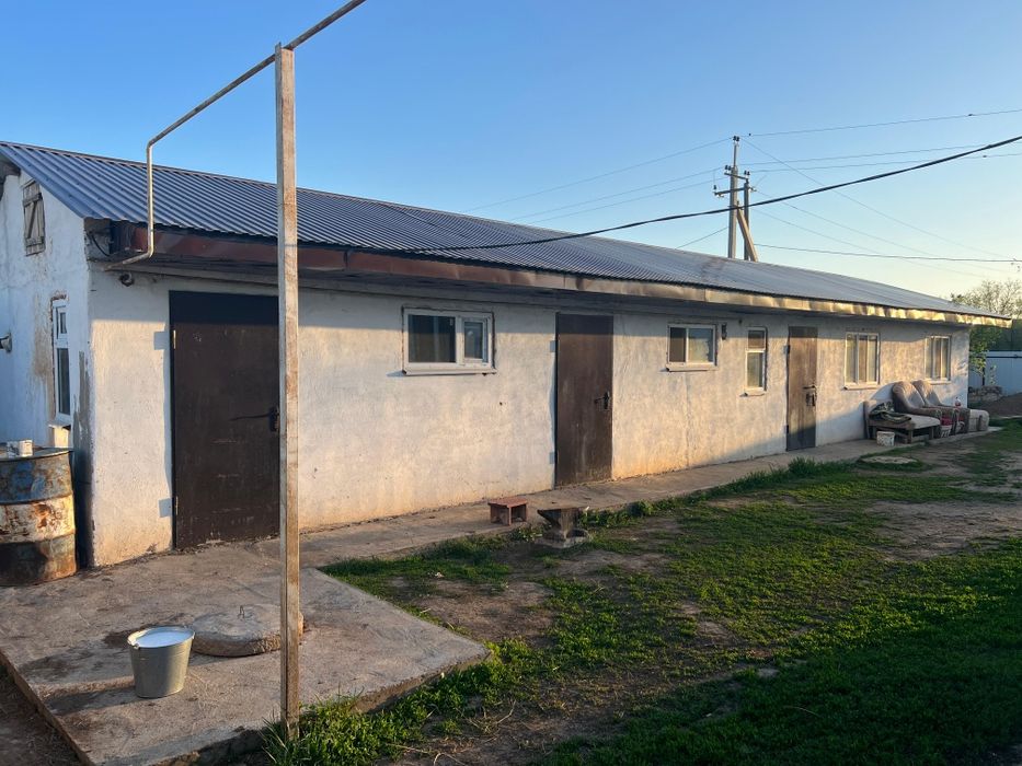 Продам дом Большой Чаган